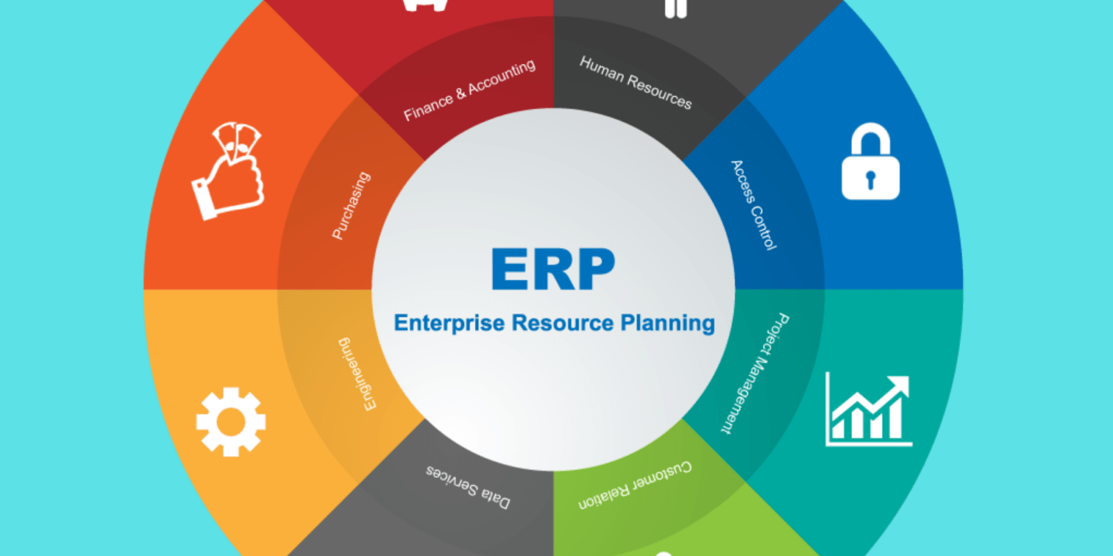 ERP software